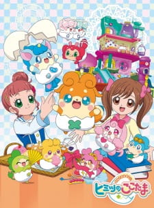 Kamisama Minarai: Himitsu no Cocotama (Dub)