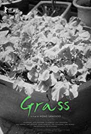 Grass (2018)