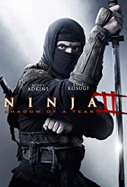 Ninja: Shadow of a Tear (2013)