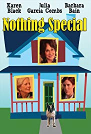 Nothing Special (2010)