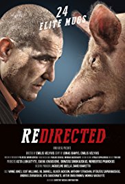 Redirected (2014)