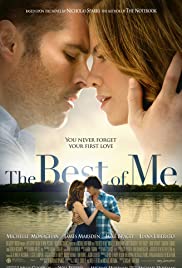 The Best of Me (2014)