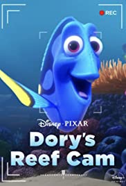 Dory’s Reef Cam (2020)