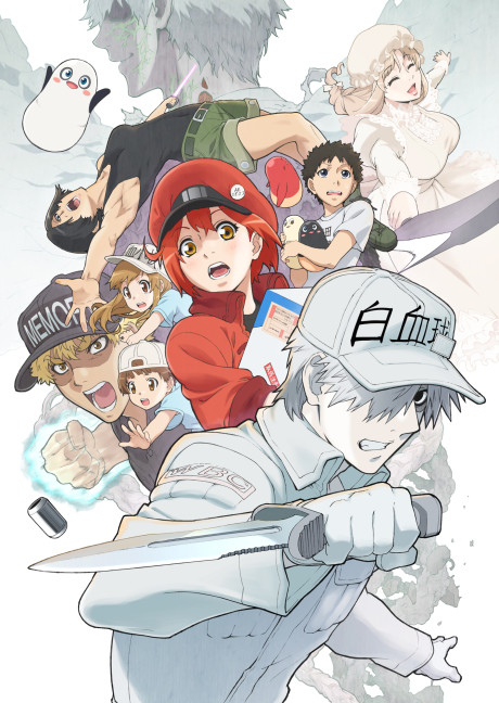 Cells at Work! Season 2 Sub